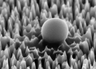 νανοαγκάθια ιού ιών ιός ιοί