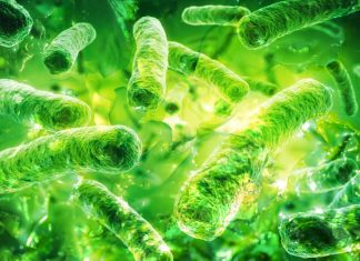 βιοπλαστικά βιοπλαστικών