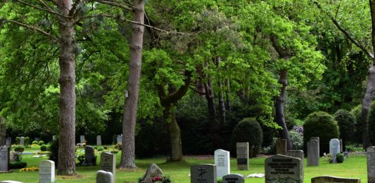 Κάτι πολύ περίεργο συμβαίνει με το σώμα των κατοίκων αυτής της πόλης και κανείς δεν γνωρίζει γιατί πόλη σώμα