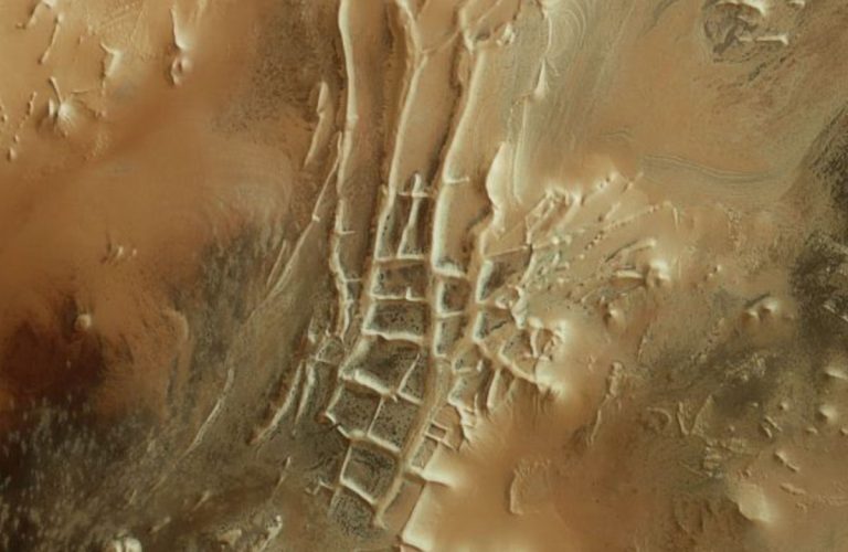 mars spiders