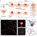 particles waves