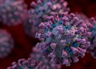 Covid 19 προσομοίωση