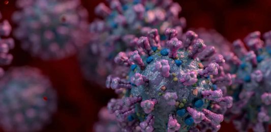 Covid 19 προσομοίωση