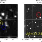 41550_2024_2271_Fig6_ESM