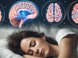 εγκέφαλος εγκεφάλου ύπνος ύπνου