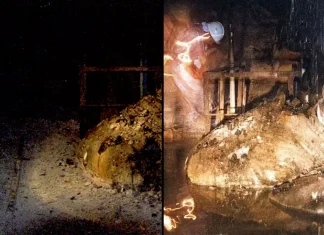 Πόδι του ελέφαντα