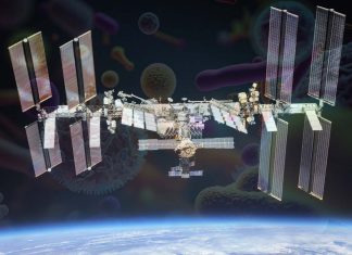 ISS Βακτήρια βακτηριακά στελέχη