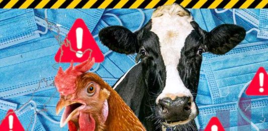 Αρχίσαμε πάλι! Ο ιός H5N1 μόλις έκανε την εμφάνισή του h5n1
