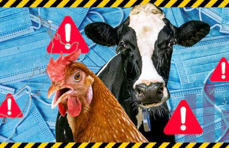h5n1