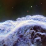 horsehead-details