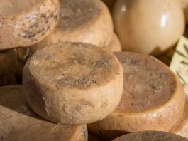 Casu marzu τυρί