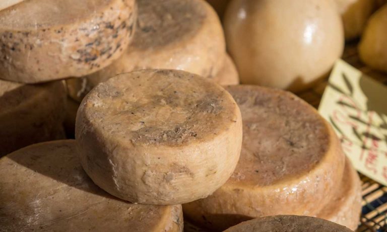 Casu marzu τυρί