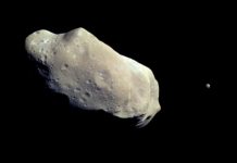 apophis asteroid