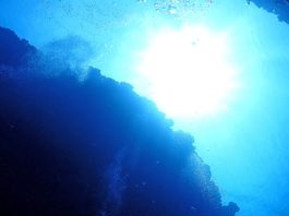 μικρόβια ωκεανός βυθός