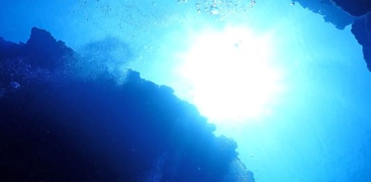 μικρόβια ωκεανός βυθός