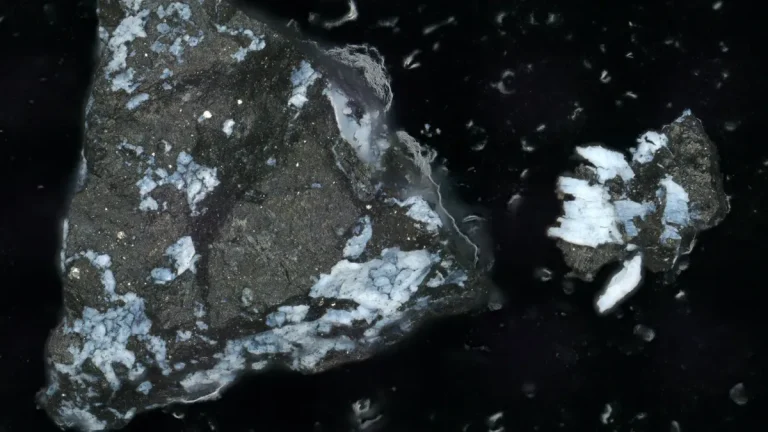 Bennu