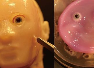 ανθρώπινο δέρμα ρομπότ