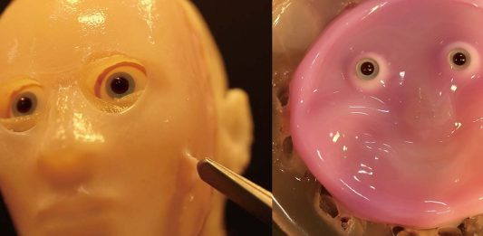 ανθρώπινο δέρμα ρομπότ