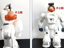 Δημιούργησαν ρομπότ με εγκέφαλο από ανθρώπινα βλαστοκύτταρα! ρομπότ εγκέφαλο