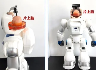 ρομπότ εγκέφαλο