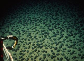 Σκοτεινό οξυγόνο