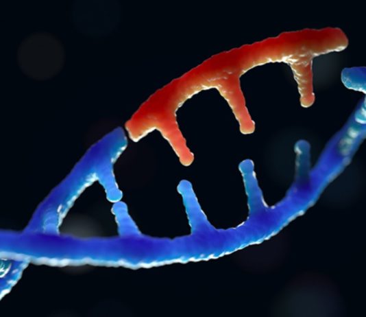 ιός ζόμπι καρκίνου