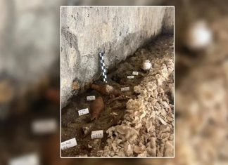 τάφο του Κέρβερου