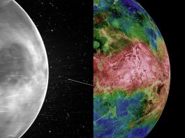 ζωή Αφροδίτη