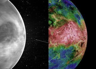 ζωή Αφροδίτη