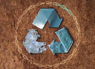 ζωντανό πλαστικό