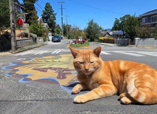 Samsung Galaxy AI Fake Images Sketch to Image