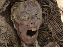 Screaming Woman μούμια