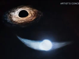 Αυτό είναι το «κλάμα» ενός άστρου που το καταβροχθίζει μια τεράστια μαύρη τρύπα