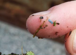 μικροπλαστικά