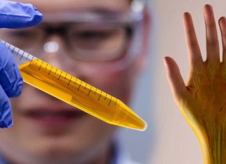 βαφή Doritos ποντίκια Tartrazine Doritos