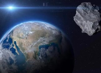 Musk αστεροειδής