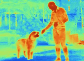 κουνούπια υπέρυθρη υπερήθρων