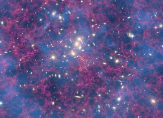 αλγόριθμο βλέννας σύμπαν