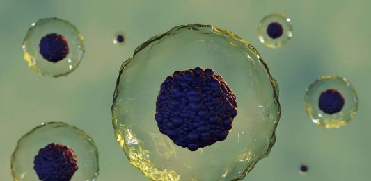 καρκίνο βλαστοκύτταρα