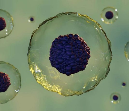 καρκίνο βλαστοκύτταρα