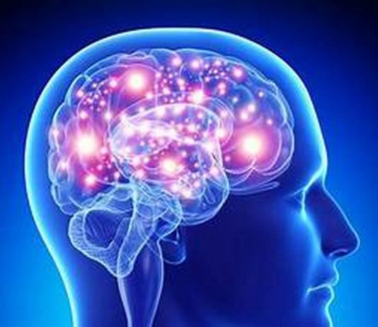 ρύπανση εγκέφαλος έρευνα