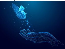 Ανθρώπινοι «Μίνι εγκέφαλοι» ελέγχουν πεταλούδες στον εικονικό κόσμο! μίνι εγκέφαλοι εικονικός κόσμος πεταλούδες