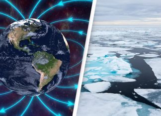 NASA βαρύτητα