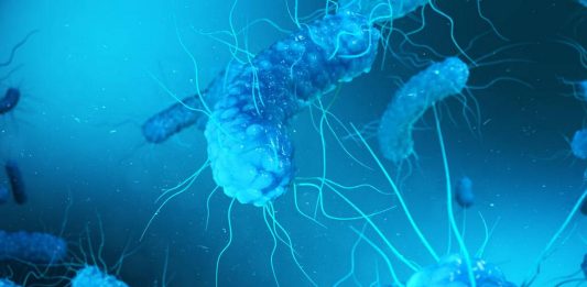 Αποκαλύφθηκαν βακτήρια που παράγουν ενέργεια με αυτό το μοναδικό τρόπο! βακτήρια, πλημμύρες, τυφώνας Milton