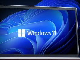 windows 11