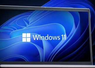 windows 11
