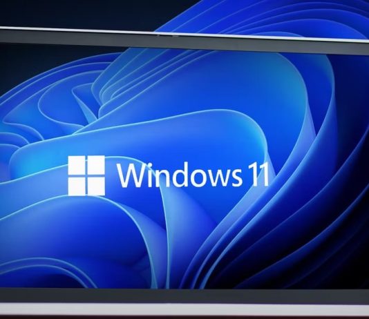 windows 11