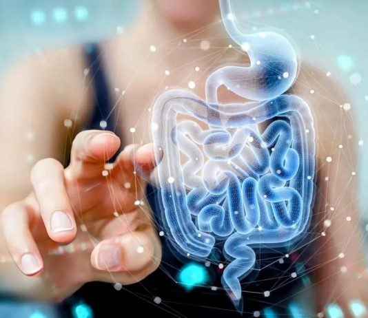 χάρτης κυττάρων έντερο