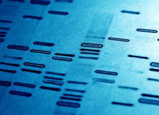 DNA έρευνα δολοφονία