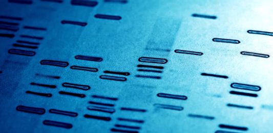 Νέα τεχνική μελέτης DNA βοήθησε στη διαλεύκανση δολοφονίας 14 χρόνια μετά! DNA έρευνα δολοφονία